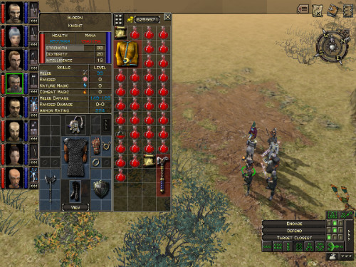 A screenshot of Dungeon Siege showing a single character's inventory.